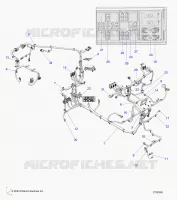 ELETTRICO, WIRE HARNESS
