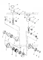 PISTONEEE   ALBERO MOTORE SPORT/SPORT GT (4921282128043A)