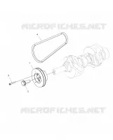 MOTORE, DRIVE PULEGGIA AND DRIVE BELT