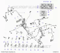 ELETTRICO, HARNESS-CHASSIS