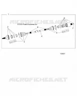 DRIVE TRAIN, POSTERIORE ALBERO