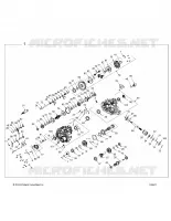 TRASMISSIONE, MAIN GEARCASE (FROM 2/23/16)
