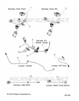 ELETTRICO, JUMPERS/WIRE HARNESS
