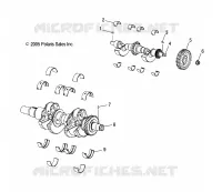 ALBERO MOTORE AND BALANCE SHAFT
