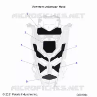 CAPPUCCIO FOAM/SEAL
