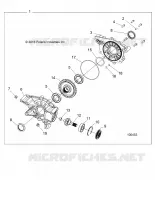 TRASMISSIONE, REAR GEARCASE INTERNALS