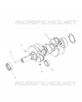 ENGINE, ALBERO MOTORE