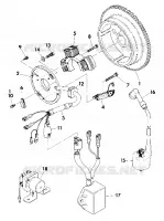 MAGNETO ASSEMBLY (4918541854047A)