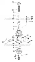 CARBURATORE ASSEMBLY (4918541854045A)