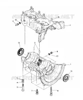 CARTER  LTR (4914141414033A)