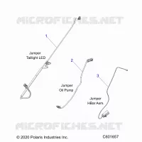 ELETTRICO, JUMPER WIRES