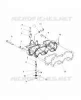 MOTORE, INLET MANIFOLD AND THROTTLE CONTROL