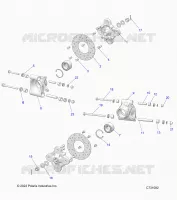SUSPENSION, PORTAPACCHI POSTERIORE