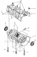 CARTER WideTrak (4919301930025A)