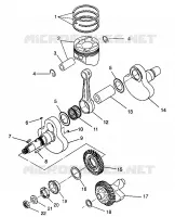 ALBERO MOTORE AND PISTONEE MAGNUM 6X6