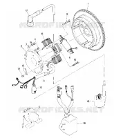 MAGNETO ASSEMBLY (4916361636041A)