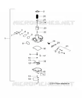 ENGINE, CARBURATORE