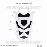 CAPPUCCIO FOAM/SEAL
