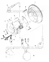 MAGNETO ASSEMBLY (4915951595041A)