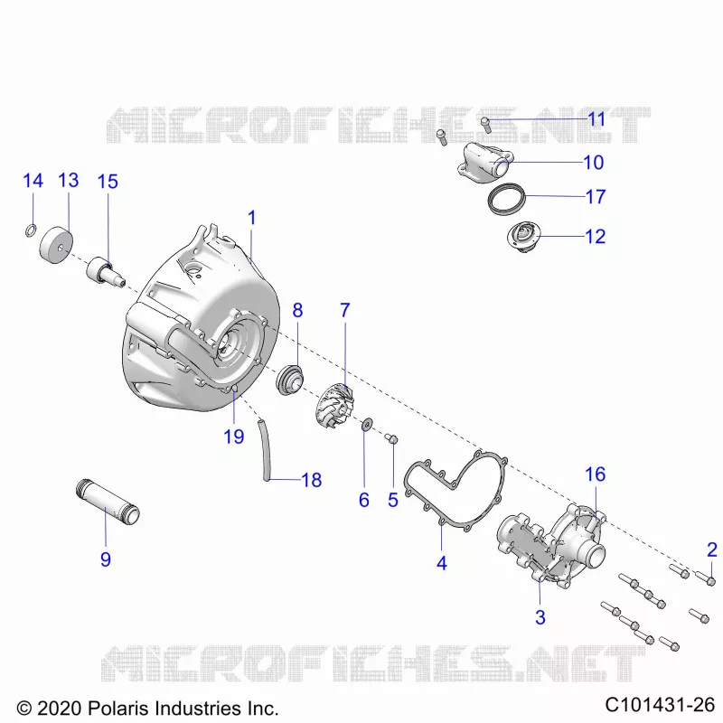 ENGINE, SISTEMA DI RAFFREDDAMENTO AND WATER PUMP