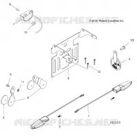 ELETTRICO, TURN SIGNALS, HORN AND LICENSE PLATE LIGHT