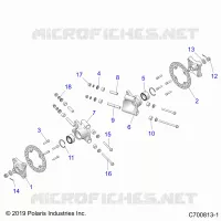 SOSPENSIONE POSTERIORE CARRIER