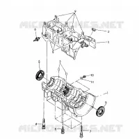 CARTER 500 SPX (4922552255035A)