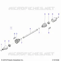 DRIVE TRAIN, ANTERIORE ALBERO