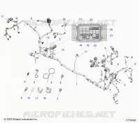 ELETTRICO, WIRE HARNESS