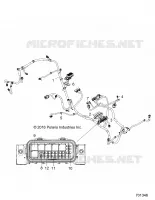 ELETTRICO, WIRE HARNESS