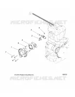 CORPO FARFALLATO AND FUEL RAIL