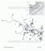 ELETTRICO, HARNESS