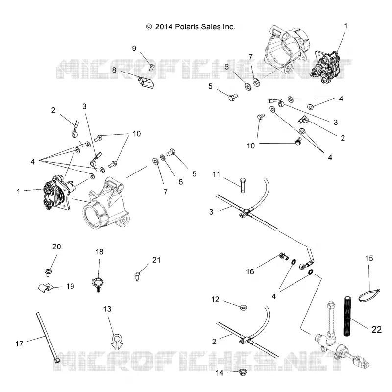 BRAKES, FRENO POSTERIORE LINES