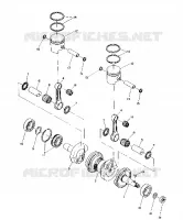 PISTON AND ALBERO MOTORE (TRAIL) (4910941094034A)
