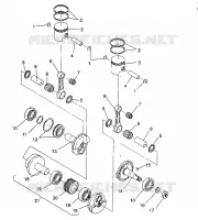 PISTONEEE   ALBERO MOTORE WIDETRAK GT / X932061 (4924722472030A)