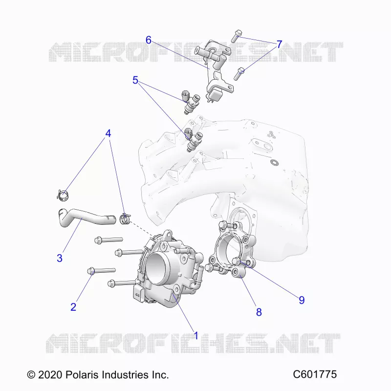 SISTEMA DI ALIMENTAZIONE CARBURANTE, THROTTLE BODY/FUEL RAIL