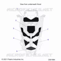 CAPPUCCIO FOAM/SEAL