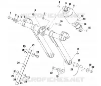 ANTERIORE COPPIA ARM (EDGE)