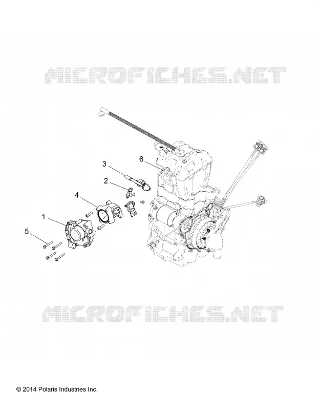 ENGINE, CORPO FARFALLATO AND FUEL RAIL
