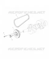 ENGINE, DRIVE PULEGGIA AND DRIVE BELT