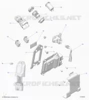 ELETTRICO, SWITCHES, SENSORS AND ECM