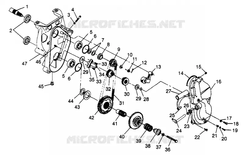 carter della catena TRAN SPORT 0970143 and EUROPEAN TRAN SPORT E970143 (4938293829B007)