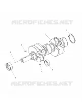 ENGINE, ALBERO MOTORE