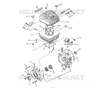 CARTER AND CILINDRO 250 2X4 / W927527 (4922862286033A)
