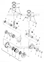 PISTONE AND ALBERO MOTORE WIDETRAK (4919301930027A)