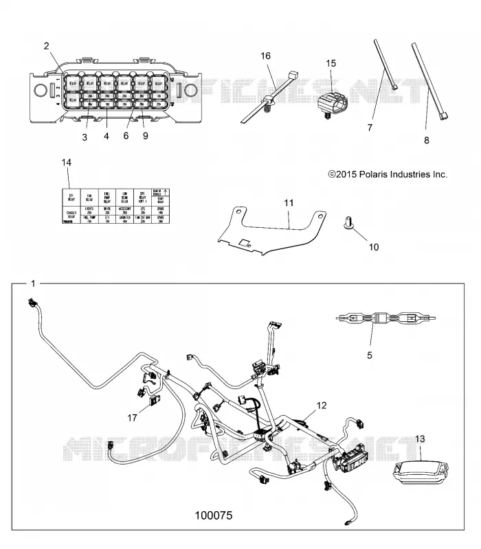 ELETTRICO, HARNESS