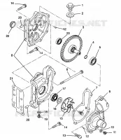 POMPA DELL'ACQUA ULTRA SP 0960678 and EUROPEAN ULTRA SP E960678 (4937083708C011)