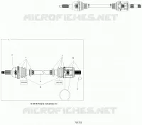 DRIVE TRAIN, ANTERIORE ALBERO