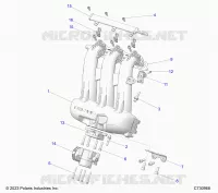 ENGINE, INTAKE MANIFOLD, CORPO FARFALLATO, FUEL RAIL