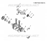 MOTORE, ALBERO MOTORE